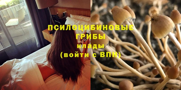 2c-b Пересвет