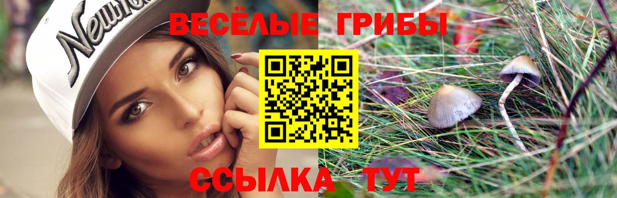где продают   Вход с VPN  Вязьма  Галлюциногенные грибы GOLDEN TEACHER 
