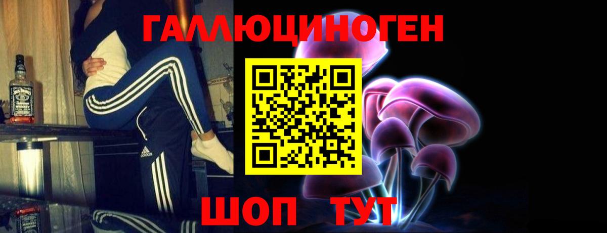 Галлюциногенные грибы MAGIC MUSHROOMS  Вязьма  Галлюциногенные грибы Psilocybe 