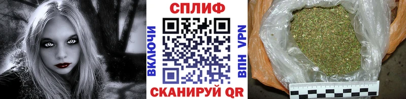 Шишки марихуана марихуана  сколько стоит  Вязьма 